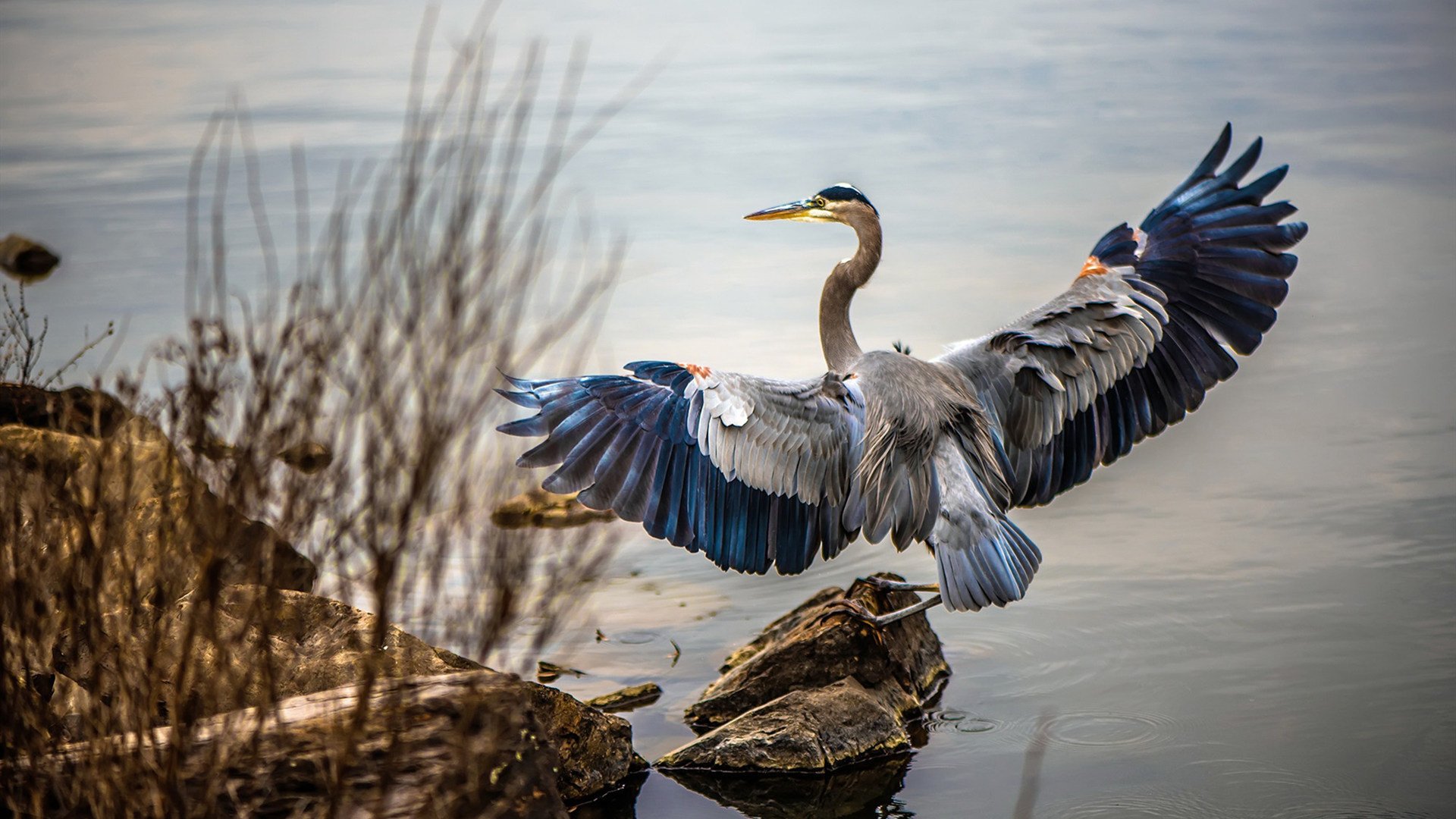 《电竞赛事的“黑马”战队逆袭奇迹》,电竞圈黑马